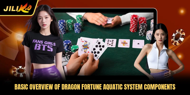 Basic overview of Dragon Fortune aquatic system components