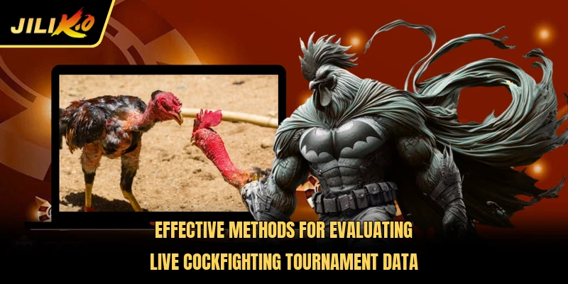 Effective methods for evaluating live cockfighting tournament data