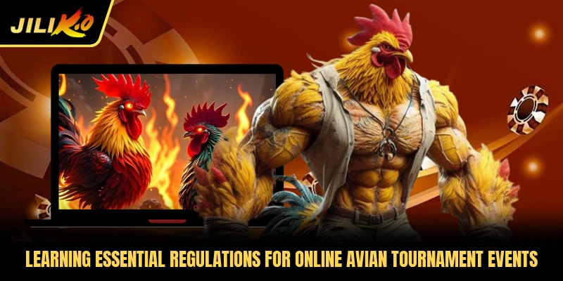 Learning essential regulations for online avian tournament events