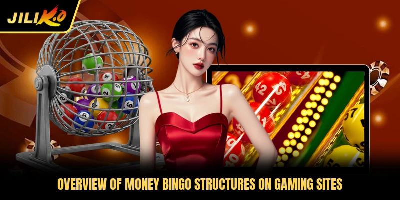 Overview of Money Bingo structures on gaming sites